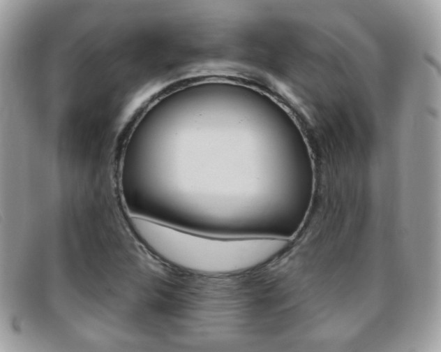 X0000095941312200801110846