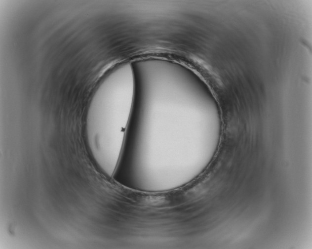 X0000095941313200801110846