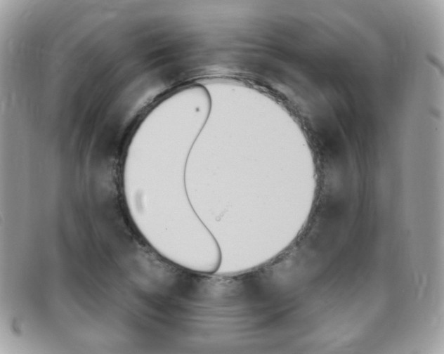 X0000095941314200801110846