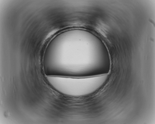 X0000095941315200801110846