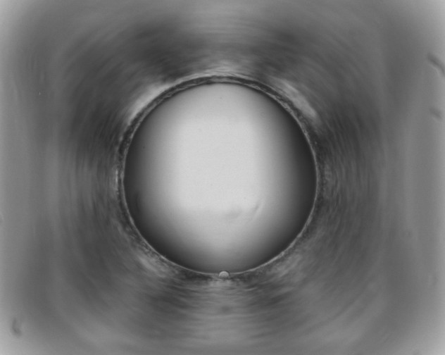 X0000095941316200801110846