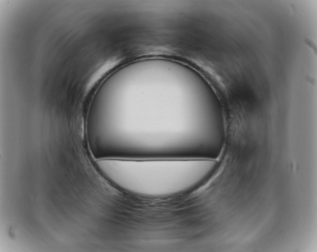 X0000095941317200801110846