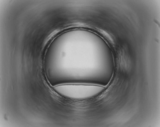 X0000095941318200801110846