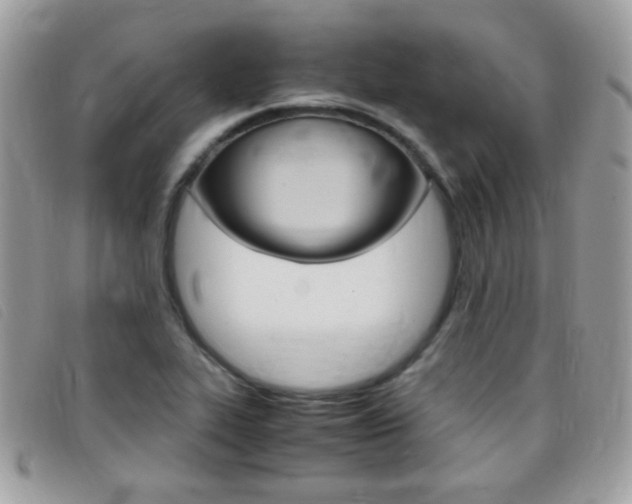 X0000095941319200801110846