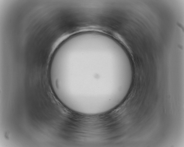 X0000095941320200801110846