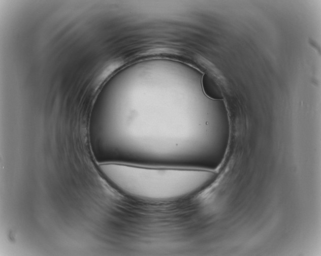 X0000095941321200801110846