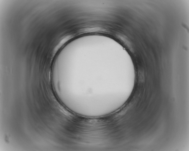 X0000095941322200801110846