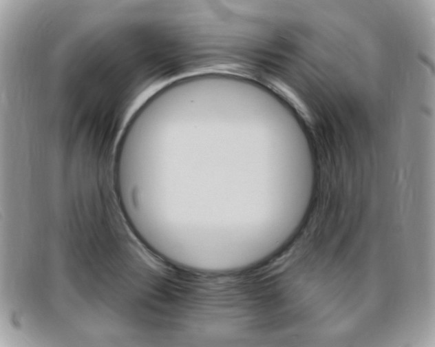 X0000095941324200801110846