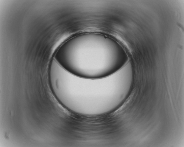 X0000095941325200801110846