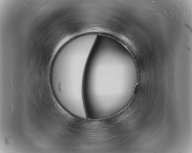 X0000095941326200801110846