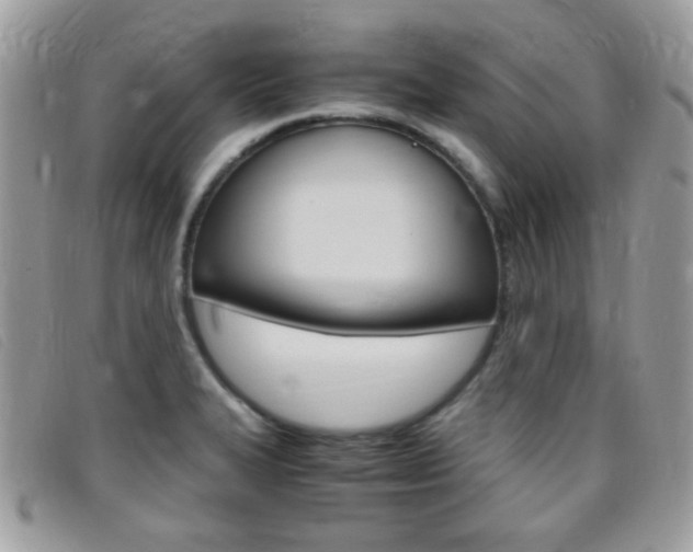 X0000095941327200801110846
