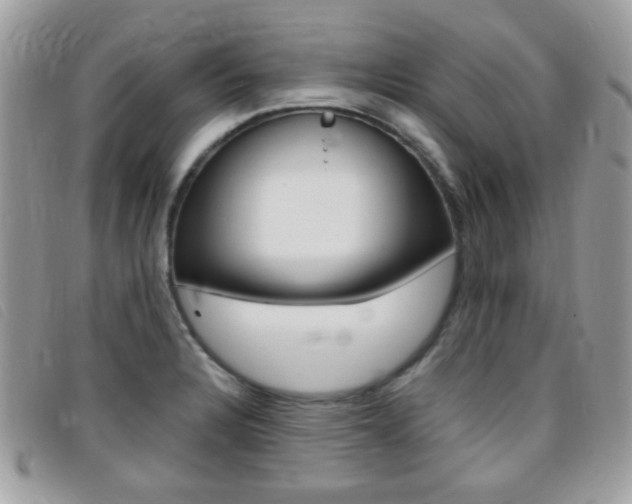 X0000095941328200801110846