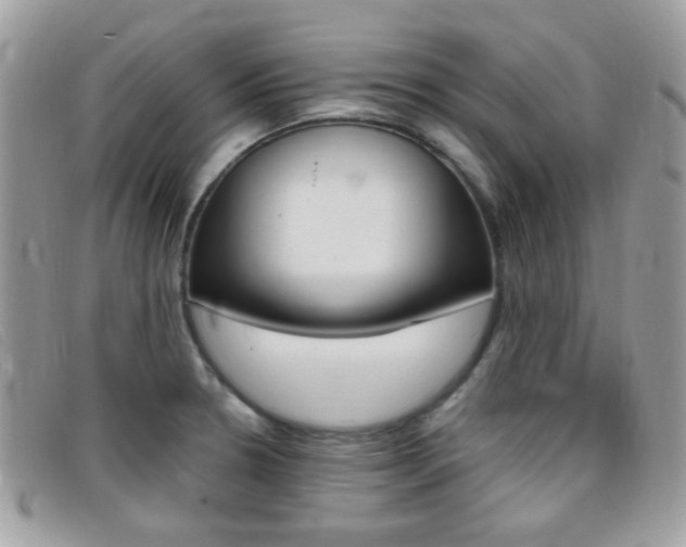 X0000095941330200801110846