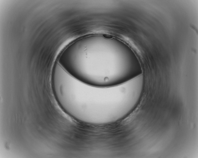 X0000095941331200801110846