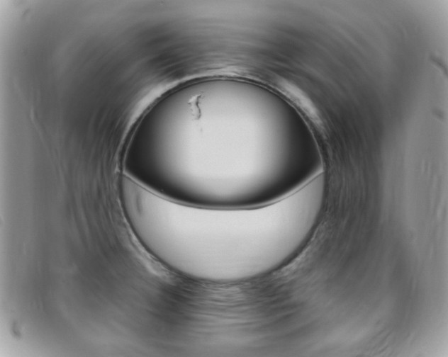 X0000095941332200801110846