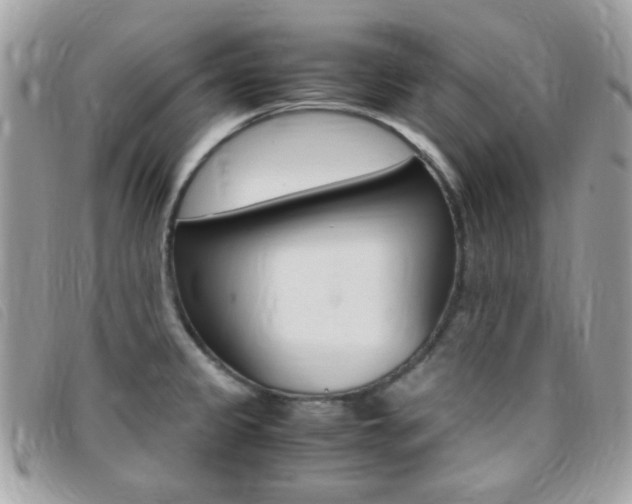 X0000095941333200801110846