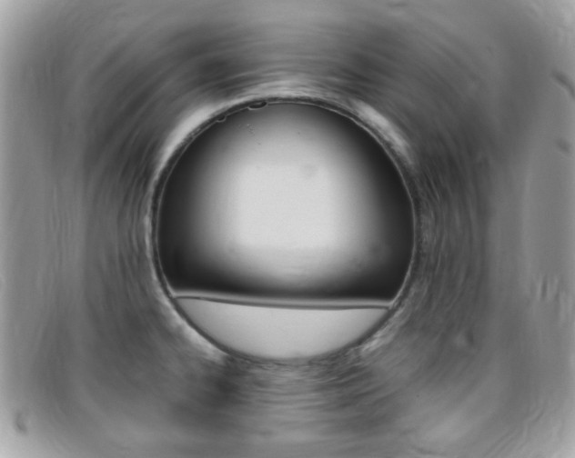 X0000095941334200801110846