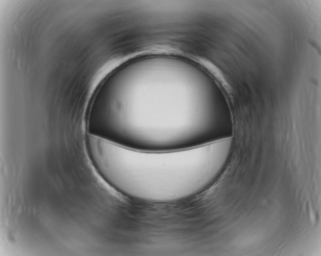 X0000095941335200801110846