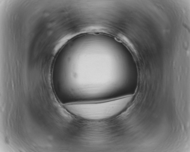 X0000095941336200801110846