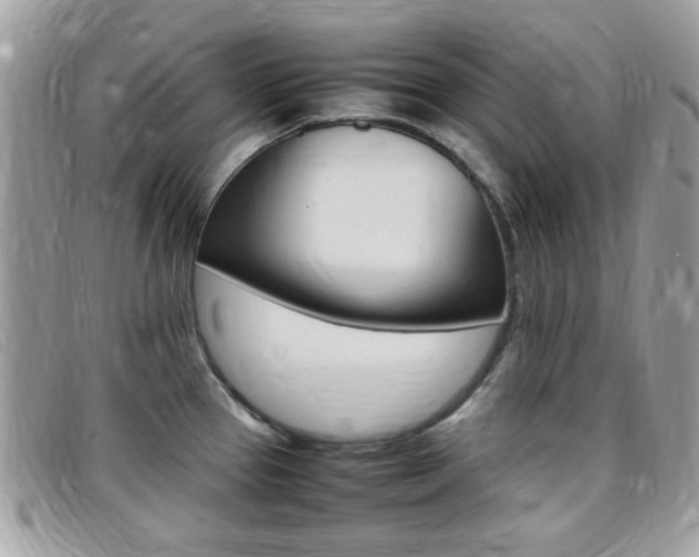 X0000095941337200801110846