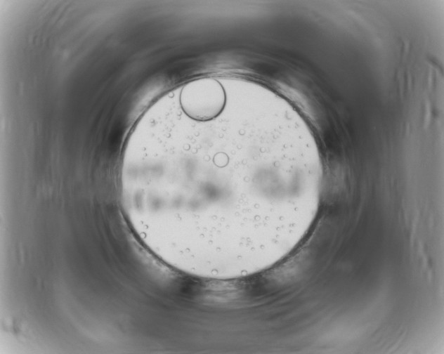 X0000095941338200801110846