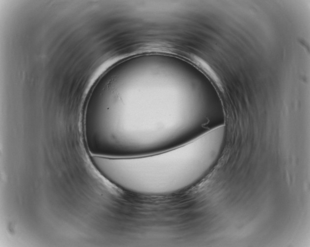 X0000095941339200801110846