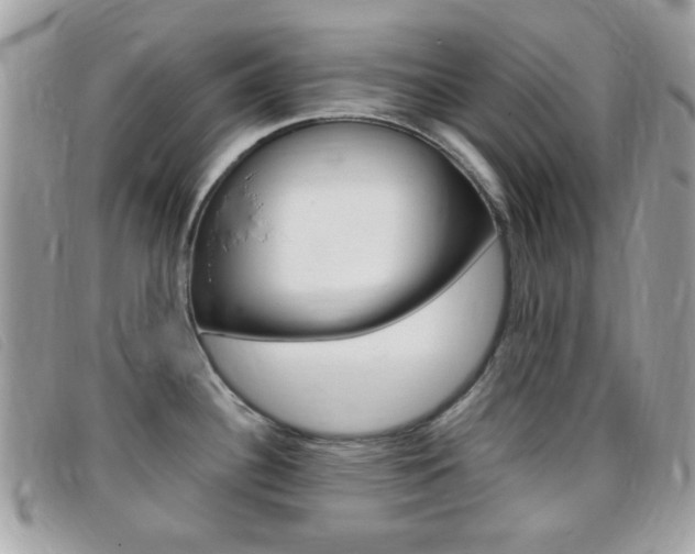 X0000095941340200801110846