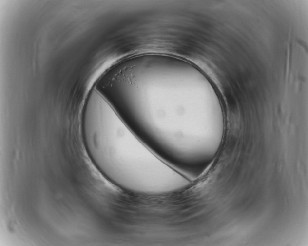 X0000095941341200801110846