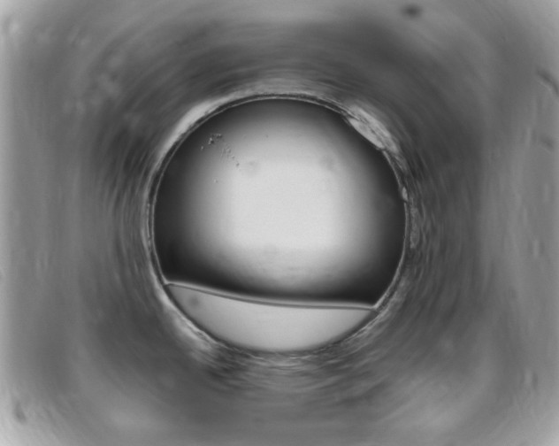 X0000095941342200801110846