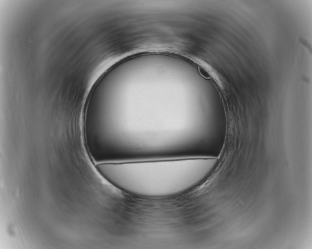 X0000095941343200801110846