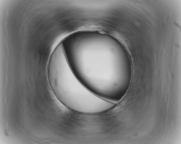 X0000095941344200801110846