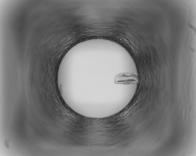 X0000095941345200801110846