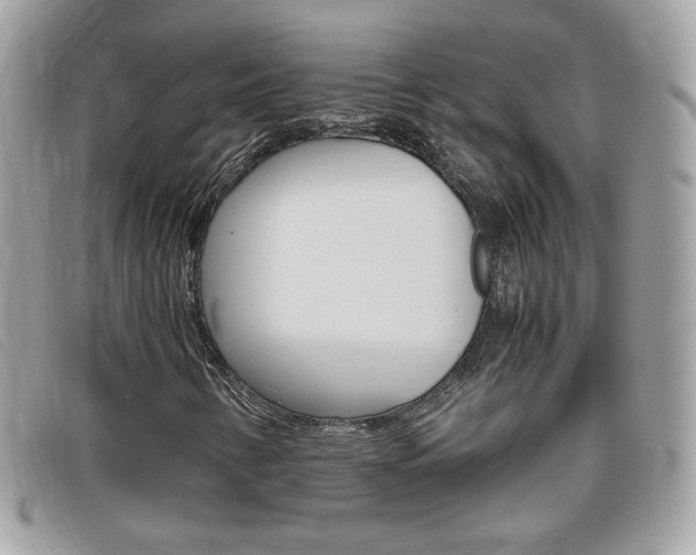 X0000095941346200801110846