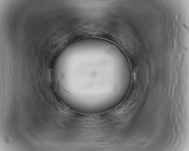X0000095941347200801110845