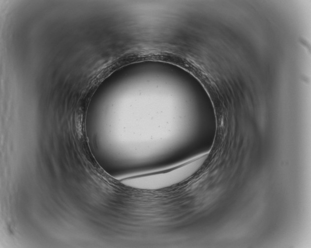 X0000095941348200801110845