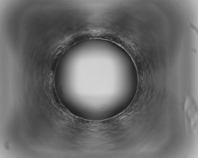 X0000095941349200801110845