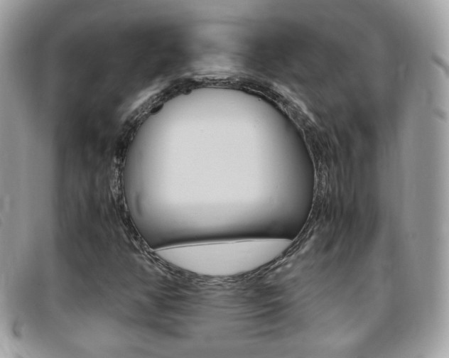 X0000095941350200801110845