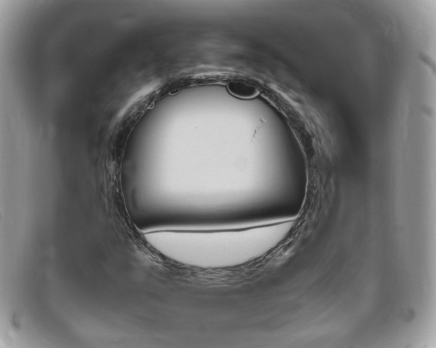 X0000095941351200801110845