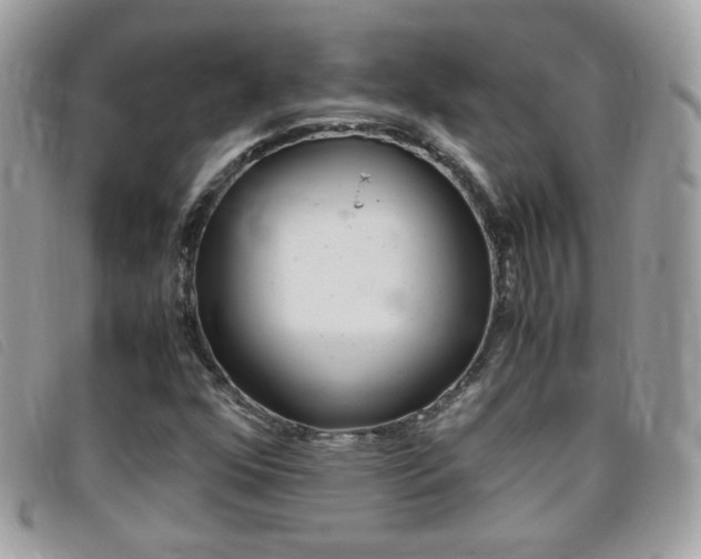 X0000095941352200801110845