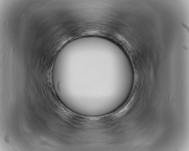 X0000095941353200801110845