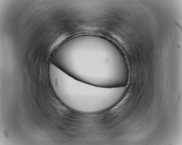 X0000095941354200801110845