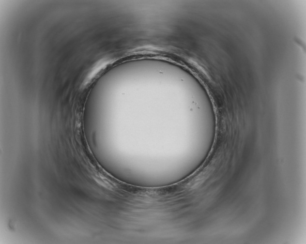 X0000095941355200801110845
