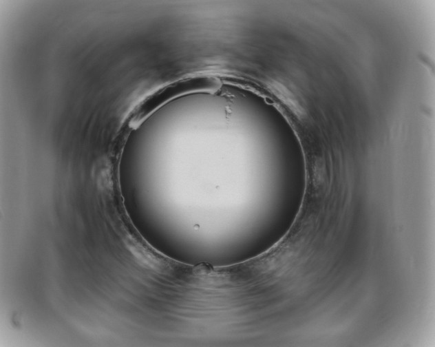 X0000095941356200801110845