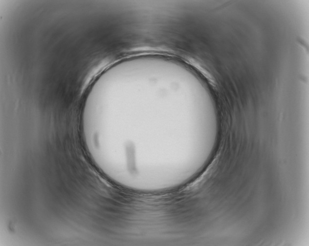 X0000095941357200801110845