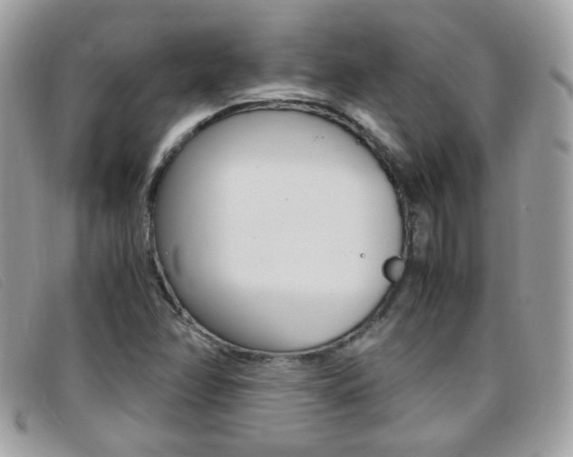 X0000095941358200801110845