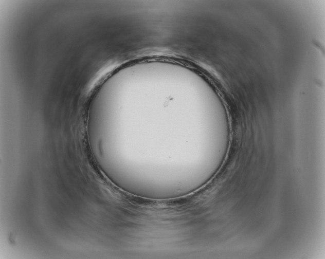 X0000095941359200801110845