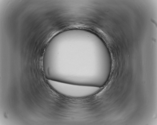 X0000095941361200801110845
