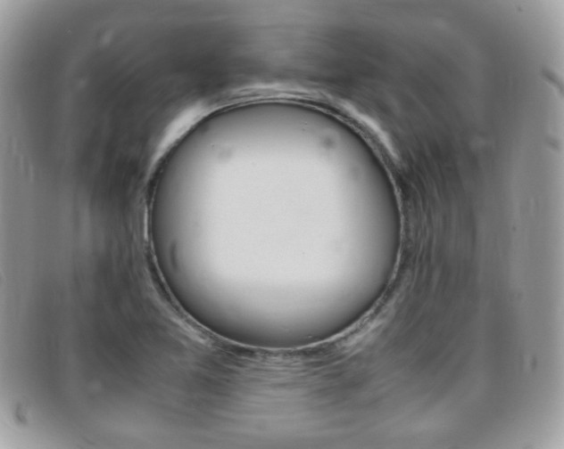 X0000095941365200801110845