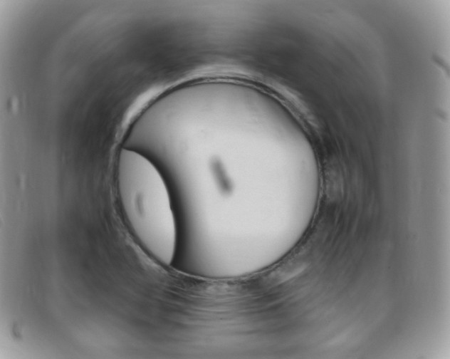X0000095941366200801110845