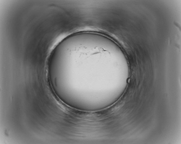 X0000095941367200801110845